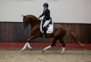 danciero v galopp 400
