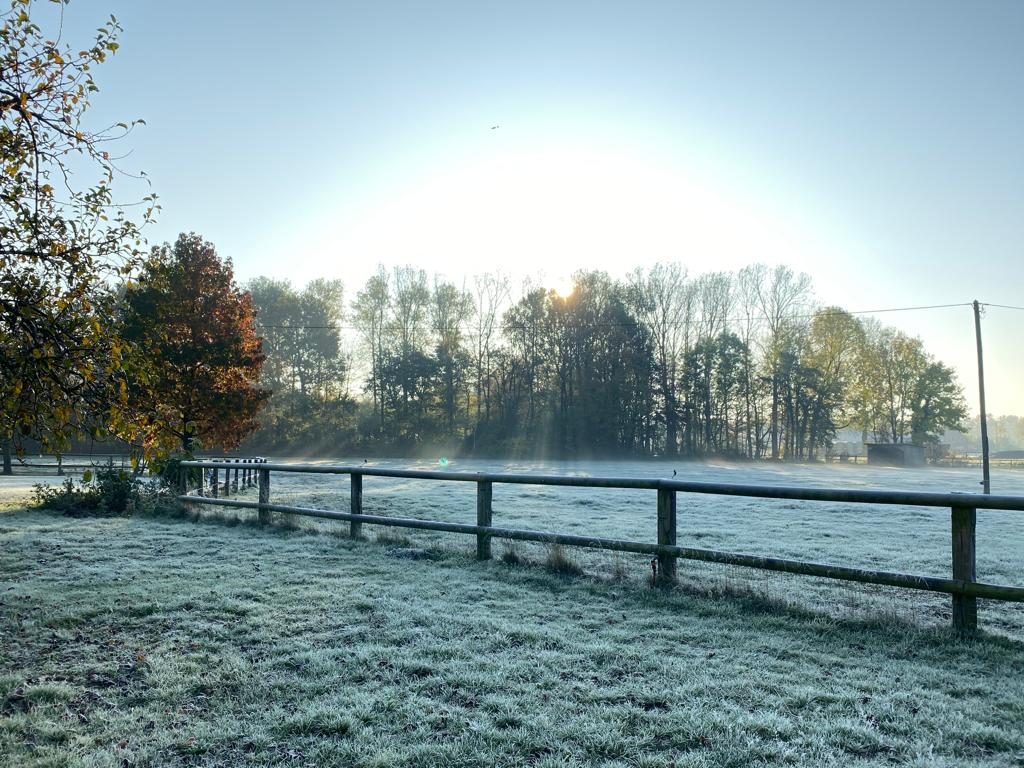 Herbst 2019 (2)