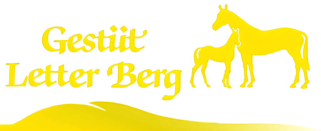 Gestüt Letter Berg